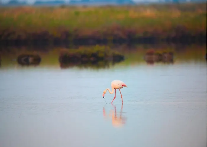 Apartament Zabrska Xvii Katowice